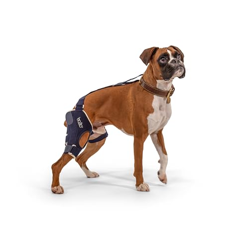 Balto Jump Dog Kniebandage – Orthopädische ACL/CCL-Unterstützung für mittelgroße Hunde – Verstellbarer Beinstabilisator für Gelenkschmerzen, Erholung von Verletzungen & Arthritis, Tierärztlich von Balto