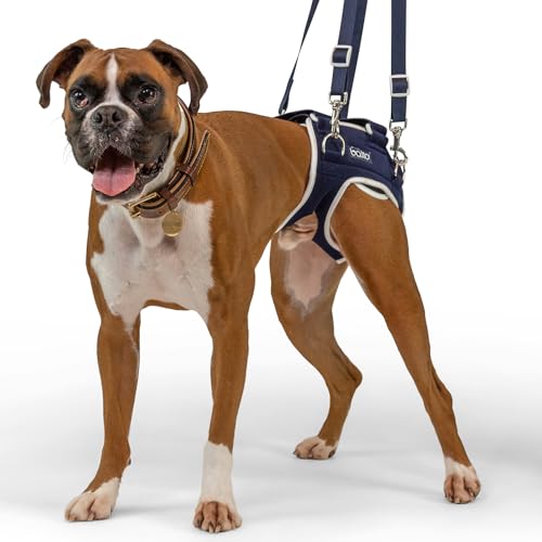 Balto Life Hip Dysplasie Brace - Dog Hip Support Harness - Hind End Adjustable Compression Brace - Distribuute Weight Evenly Helps Prevent New Injuries - Rear Support Aide (Medium) von Balto