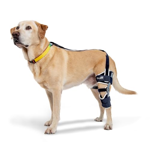 Balto Ligatek Kniebandage für Hunde, verstellbar, mit Scharnier, CCL-Bandage für Hunde, variable Bewegungsfreiheit oder volle Ruhigstellung, linkes Bein, extra groß von Balto