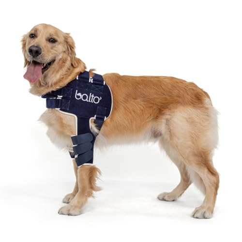 Balto Lux Verstellbare Hunde-Schulterbandage – Schulterbandage – Unterstützung Schulterdysplasie – postoperative Unterstützung oder chirurgische Alternative (XS) von Balto