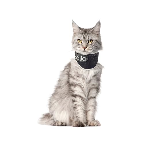 Balto Neck Eco E-Halsband Alternative – Katzen-Genesungshalsband – gepolsterter Katzenkegel – vor / nach Operationen schützt Wunden und Ausschläge – nur Körperschutz, Größe XS Balto Neck Eco E-Halsband Alternative – Katzen-Genesungshalsband – gepolsterter Katzenkegel – vor / nach Operationen schützt Wunden und Ausschläge – nur Körperschutz, Größe XS von Balto