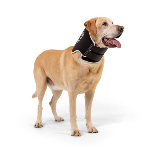 Balto Neck Eco E-Halsband Alternative – Genesungshalsband für Hunde – gepolsterter Hundekegel – vor / nach Operationen schützt Wunden und Hautausschläge – nur Körperschutz (XL) von Balto