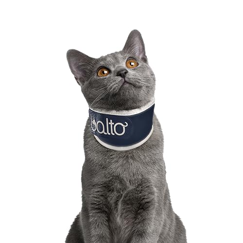Orthopädische Katzen-Nackenbandage – Halswirbelsäulenstützhalsband für Katzen – leichter, verstellbarer, weich gepolsterter Nackenstabilisator für die Genesung von Verletzungen, nach Operationen Orthopädische Katzen-Nackenbandage – Halswirbelsäulenstützhalsband für Katzen – leichter, verstellbarer, weich gepolsterter Nackenstabilisator für die Genesung von Verletzungen, nach Operationen von Balto