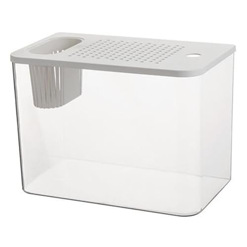 Bamberg Aquarium, Transparent, für Den Schreibtisch, Schildkrötenaquarium, Kleine Aquarien, Dekorativer Fischbehälter für Fische, Bamberg Aquarium, Transparent, für Den Schreibtisch, Schildkrötenaquarium, Kleine Aquarien, Dekorativer Fischbehälter für Fische, von Bamberg