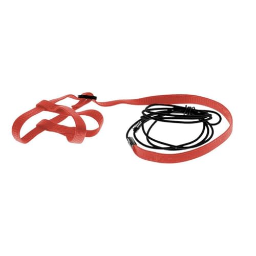 Bamberg Papageien-Geschirr, Leine, Outdoor, Fliegende Traktionsgurte, Band, Verstellbares Anti-Trainingsseil, Rot L Bamberg Papageien-Geschirr, Leine, Outdoor, Fliegende Traktionsgurte, Band, Verstellbares Anti-Trainingsseil, Rot L von Bamberg
