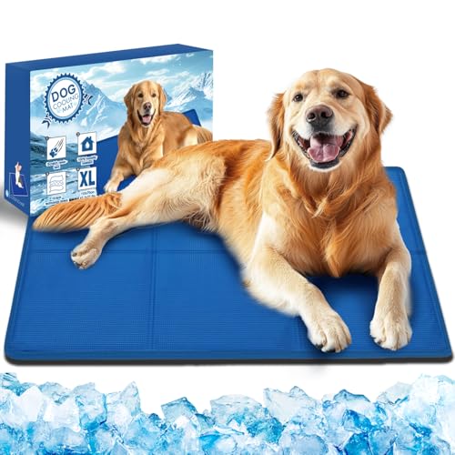 Bamda Kühlmatte Hund 110x70cm. Extra Große Sofortige Selbstkühlmatte für Hunde, Ungiftiges Gel, Langlebige Kratzfeste Oberfläche, Pet Cool Pad für Kisten und Betten Perfekt für Heißen Sommer【XL】 Bamda Kühlmatte Hund 110x70cm. Extra Große Sofortige Selbstkühlmatte für Hunde, Ungiftiges Gel, Langlebige Kratzfeste Oberfläche, Pet Cool Pad für Kisten und Betten Perfekt für Heißen Sommer【XL】 von Bamda