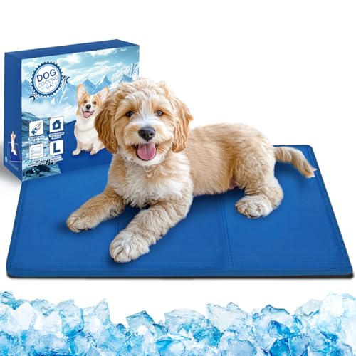 Bamda kühlmatte Hund 90x50cm - Sofortige Selbstkühlmatte für Hunde, Nicht-giftiges Gel, langlebige Kratzfeste Oberfläche, Haustierkühlmatte für Kisten und Betten perfekt für den heißen Sommer【L】 Bamda kühlmatte Hund 90x50cm - Sofortige Selbstkühlmatte für Hunde, Nicht-giftiges Gel, langlebige Kratzfeste Oberfläche, Haustierkühlmatte für Kisten und Betten perfekt für den heißen Sommer【L】 von Bamda