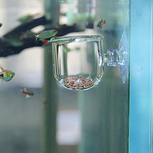 Ailindany Aquarium Glas Futterkegel Cup Pflanze Cup Lake Shrimp Lebend Rot Wurm Fisch Feeder für Aquarien mit Saugnapf von Banada