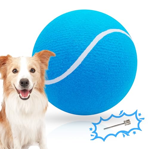 Banfeng Großer Hunde-Tennisball, 24,1 cm, riesiger Doy-Sportball, Spielzeug, Geburtstagsgeschenk, interaktives Hundespielzeug für kleine, mittelgroße und große Hunde (Himmelblau) von Banfeng
