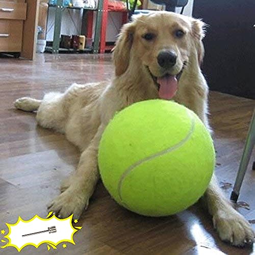 Banfeng Riesen-Tennisball für Hunde, 24,1 cm, großes Haustier-Spielzeug, lustiges Outdoor-Sport, Hundeball, Geschenk mit aufblasbaren Nadeln von Banfeng