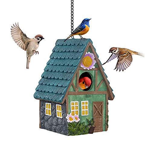 Banllis Vogelhäuser für draußen, Vogelhaus aus Harz mit Kette zum Aufhängen, dekorativer Vogelkäfig, Outdoor-Gartendekoration für Kolibri, Blauvogel, Kardinal und andere Vögel Banllis Vogelhäuser für draußen, Vogelhaus aus Harz mit Kette zum Aufhängen, dekorativer Vogelkäfig, Outdoor-Gartendekoration für Kolibri, Blauvogel, Kardinal und andere Vögel von Banllis