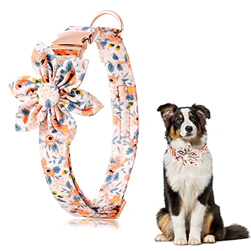 Banoo Hundehalsbänder für Mädchen, mit abnehmbarer Blume, niedliches Hundehalsband, Welpenhalsband, Blumenmuster für weibliche Hunde, Fliege, mittelgroße und große Hunde und Katzen (Orange, M) von Banooo