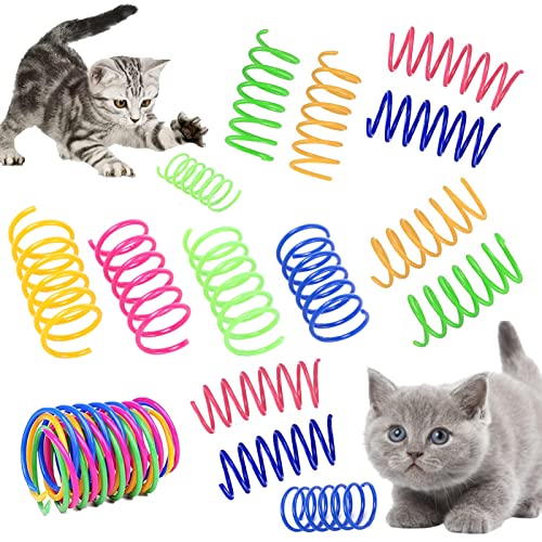 Katzen-Frühlingsspielzeug, 40 Stück, Federbecher, Katzenspielzeug, buntes Katzenspielzeug, kreatives Spielzeug für Kätzchen, BPA-frei, langlebig, schweres Kunststoff, Kätzchen, Spielzeug Katzen-Frühlingsspielzeug, 40 Stück, Federbecher, Katzenspielzeug, buntes Katzenspielzeug, kreatives Spielzeug für Kätzchen, BPA-frei, langlebig, schweres Kunststoff, Kätzchen, Spielzeug von Bansusu