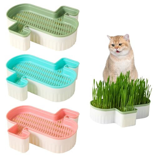 Banziaju 3 Pcs Katze Gras Pflanzer, No-Soil Katze Gras wachsen Box mit abnehmbaren Kunststoff-Liner für Indoor-Katzen Haustiere, Himmelblau + Rose + Grün (Keine Samen enthalten) von Banziaju