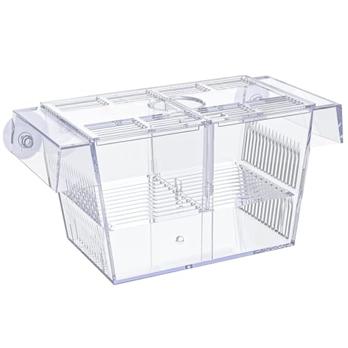 Fischzüchtungsbox Züchterbox für Fischtank Multi -Kompartiment Fischisolation Box für Aquarium mit Saugnapfbecher und Fütterungsanschluss transparenter ABS -Fisch -Brutschachtel für Babyfische, Garne von Banziaju