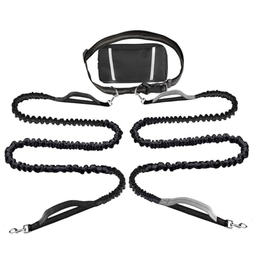 Freisprecher Hundeleine für 2 Hunde reflektierende elastische Hundeleine mit Wirbelverklammern, Hunde-Leine-Taillengürtel mit abnehmbarem Reißverschlussbeutel und Poop-Beutelspender, Training der L Freisprecher Hundeleine für 2 Hunde reflektierende elastische Hundeleine mit Wirbelverklammern, Hunde-Leine-Taillengürtel mit abnehmbarem Reißverschlussbeutel und Poop-Beutelspender, Training der L von Banziaju