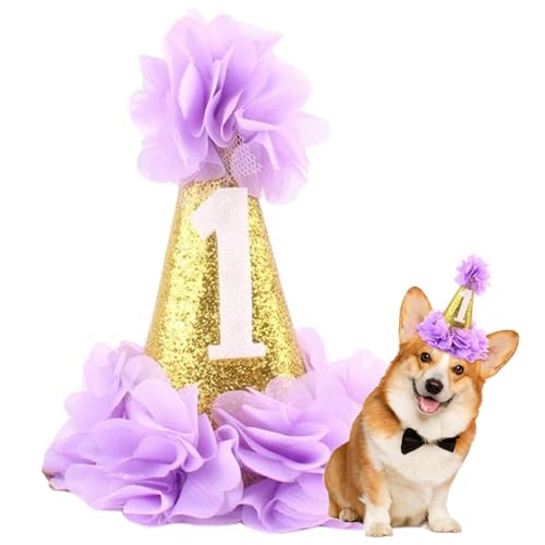 Banziaju Hund Geburtstagshut, Violette Paillettenkegelhut Hunde Katzen Einer Größe Hundehut mit Blumenzubehör und einstellbar Banziaju Hund Geburtstagshut, Violette Paillettenkegelhut Hunde Katzen Einer Größe Hundehut mit Blumenzubehör und einstellbar von Banziaju