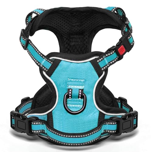 [Neueste Hundegeschirr] BaoCheng Anti Pull Hundegürtel,Kleine/mittlere/große Hunde,Atmungsaktives Mesh, Einfaches Be-und Entladen,3 Schnallen, Sicherheit,Reflektierend(Himmelblau,S) von BaoCheng
