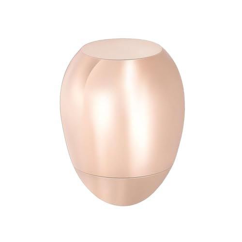BaoFufc Metallurne für Hunde, Gedenkurne, Gedenkgeschenk, Mini-Größe, unvergessliche Urne für Haustierasche, Hundeurnen für Asche, groß BaoFufc Metallurne für Hunde, Gedenkurne, Gedenkgeschenk, Mini-Größe, unvergessliche Urne für Haustierasche, Hundeurnen für Asche, groß von BaoFufc