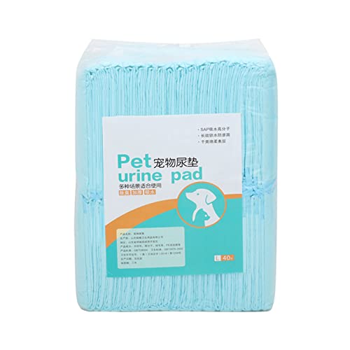 BaoFufc Urinierunterlagen für Hunde, klein, groß, saugfähig, auslaufsicher, schnell trocknend, Bodenmatte für Zuhause, Reisen, Kisten, Töpfchentraining, Einweg-Pee Pads für Hunde, klein und groß BaoFufc Urinierunterlagen für Hunde, klein, groß, saugfähig, auslaufsicher, schnell trocknend, Bodenmatte für Zuhause, Reisen, Kisten, Töpfchentraining, Einweg-Pee Pads für Hunde, klein und groß von BaoFufc