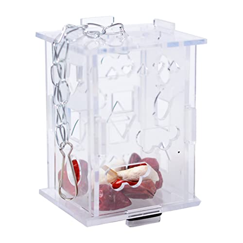 BaoFufc Vogelfutter-Spielzeug für kreative Papageien-Futterstation Spielzeug Intelligenz Wachstumskäfig Acryl Box hängende Futterhalter Schaukel Spielzeug Vogel Schaukel Spielzeug, groß BaoFufc Vogelfutter-Spielzeug für kreative Papageien-Futterstation Spielzeug Intelligenz Wachstumskäfig Acryl Box hängende Futterhalter Schaukel Spielzeug Vogel Schaukel Spielzeug, groß von BaoFufc