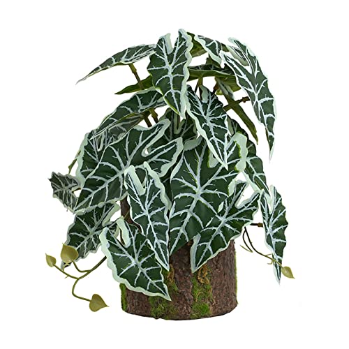 Habitat Corner Green-Plants Landschaftsdekoration für Eidechsen, Bartdrachen, kleine künstliche Geckos zur Badezimmerdekoration Habitat Corner Green-Plants Landschaftsdekoration für Eidechsen, Bartdrachen, kleine künstliche Geckos zur Badezimmerdekoration von BaoFufc