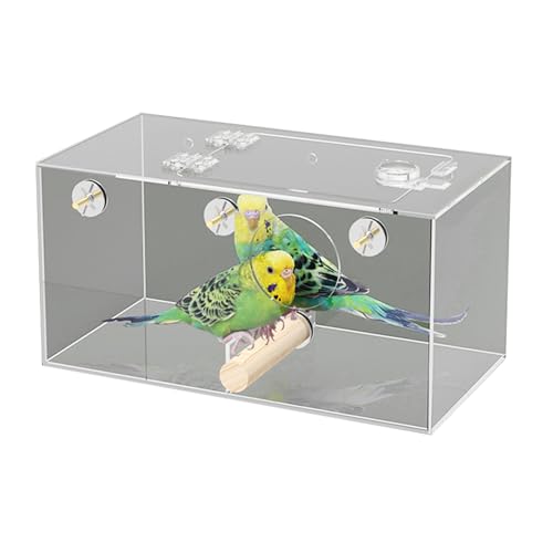 Kakadu-Futterbox, auslaufsicher, externe Futterbox für Vögel, Vogelfutterhaus mit Aufhängern, Käfigdekoration für Zucht, Käfigdekoration von BaoFufc