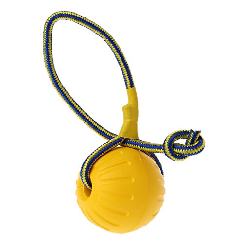 Pet Dog Training Toy Ball Dog Rubber Ball Chew Resistant Toy with Rope Pet Toy Set Pet Dog Training Toy Ball Dog Rubber Ball Chew Resistant Toy with Rope Pet Toy Set von BaoFufc