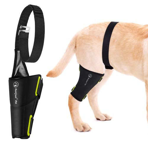BaoGuai Hunde-Kniebandage Pro, für Hunde ACL, Luxating Patella, Hunde-Hüftbandage für Hinterbein, hält das Gelenk warm und stabil, zusätzliche Unterstützung, reduziert Schmerzen (L) von BaoGuai