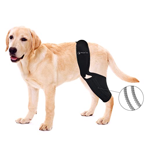 BaoGuai Kniebandage für Hunde, ACL mit seitlichen Stabilisatoren, Kniekappenluxation, Arthritis – hält das Gelenk warm und stabil – zusätzliche Unterstützung – reduziert Schmerzen und Entzündungen – 7 von BaoGuai