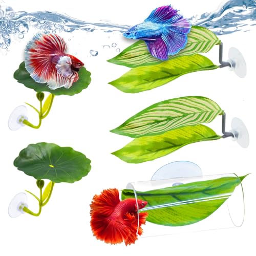 BaoZqua Betta-Hängematten- und Fischspielzeug-Set, weiche Aquarium-Dekoration, Kunststoffpflanzen, die den Fischschwanz nicht beschädigen, Acryl-Tunnel für Betta-Aquarium-Dekorationen, BaoZqua Betta-Hängematten- und Fischspielzeug-Set, weiche Aquarium-Dekoration, Kunststoffpflanzen, die den Fischschwanz nicht beschädigen, Acryl-Tunnel für Betta-Aquarium-Dekorationen, von BaoZqua