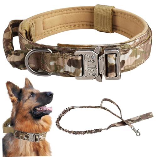Hundekragen und Leinen -Set, einstellbare Hundehalsband mit Griff, Nylon Heavy Dut Hundekragen mit Griff- und Metallschnallen Trainingstraining für Hundekragen, Hundead Hundekragen und Leinen -Set, einstellbare Hundehalsband mit Griff, Nylon Heavy Dut Hundekragen mit Griff- und Metallschnallen Trainingstraining für Hundekragen, Hundead von Baobiutin