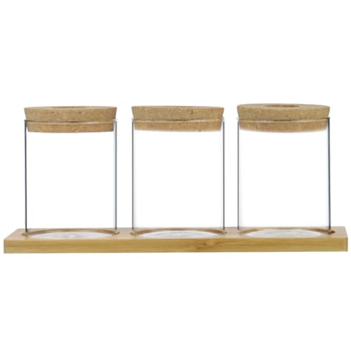 Pflanzenpropagationsstation Pflanzenterrarium 3pcs Wasserpflanze Propagationsgläser mit Tablettdeckel transparent minimalistische Propagationsstationen für Tischtoilettenbalkone Pflanzenpropagationsstation Pflanzenterrarium 3pcs Wasserpflanze Propagationsgläser mit Tablettdeckel transparent minimalistische Propagationsstationen für Tischtoilettenbalkone von Baobiutin