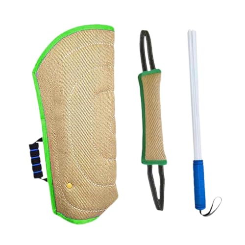 Baoblaze 3 Stücke beißarm-Ärmel Hundetrainingsstock Agility- Kauspielzeug Hundebeißkissen Zerrspielzeug zum Apportieren von Welpen im Freien, GrÜn Baoblaze 3 Stücke beißarm-Ärmel Hundetrainingsstock Agility- Kauspielzeug Hundebeißkissen Zerrspielzeug zum Apportieren von Welpen im Freien, GrÜn von Baoblaze