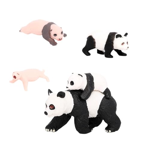 Baoblaze 4-teiliges Panda-Tier-Lebenszyklus-Modell, Panda-Wachstumszyklus-Figuren, Lernspielzeug, Party-Klassenzimmer-Zubehör für Jungen, Kinder, Mädchen, Panda-Wachstumszyklus 4 von Baoblaze