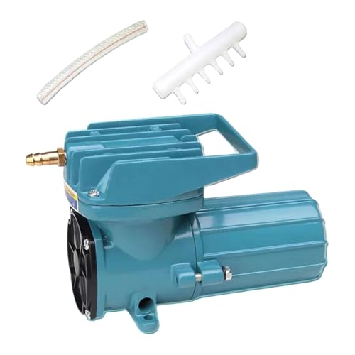Baoblaze Aquarium-Luftpumpe, DC 12 V Luftpumpe, Werkzeug Metall Fischtank Luftpumpe für Brunnen, Aquakultur, kommerzielle Nutzung Hydrokultur, 12 V, 18 W, 165x76x99mm Baoblaze Aquarium-Luftpumpe, DC 12 V Luftpumpe, Werkzeug Metall Fischtank Luftpumpe für Brunnen, Aquakultur, kommerzielle Nutzung Hydrokultur, 12 V, 18 W, 165x76x99mm von Baoblaze