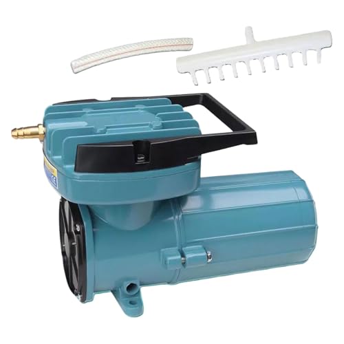 Baoblaze Aquarium-Luftpumpe, DC 12 V Luftpumpe, Werkzeug Metall Fischtank Luftpumpe für Brunnen, Aquakultur, kommerzielle Nutzung Hydrokultur, 12 V 100 W, 240x121x160mm Baoblaze Aquarium-Luftpumpe, DC 12 V Luftpumpe, Werkzeug Metall Fischtank Luftpumpe für Brunnen, Aquakultur, kommerzielle Nutzung Hydrokultur, 12 V 100 W, 240x121x160mm von Baoblaze