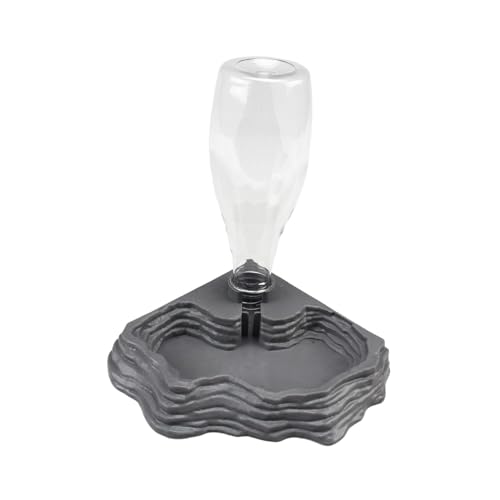 Baoblaze Automatischer Reptilien-Wasserspender, Schildkröten-Wasserspender, Habitat-Dekor, 400 ml Fassungsvermögen, Schildkröten-Wassernapf für Bartagamen, grau Baoblaze Automatischer Reptilien-Wasserspender, Schildkröten-Wasserspender, Habitat-Dekor, 400 ml Fassungsvermögen, Schildkröten-Wassernapf für Bartagamen, grau von Baoblaze