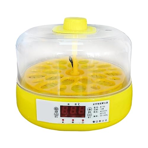 Baoblaze Eierbrutkasten für Vögel, Vogelbrüter, automatische Temperaturregelung für Geflügel auf dem Bauernhof, Geflügelbrüter, Kleiner Eierbrutkasten für, Komplett automatisch Baoblaze Eierbrutkasten für Vögel, Vogelbrüter, automatische Temperaturregelung für Geflügel auf dem Bauernhof, Geflügelbrüter, Kleiner Eierbrutkasten für, Komplett automatisch von Baoblaze
