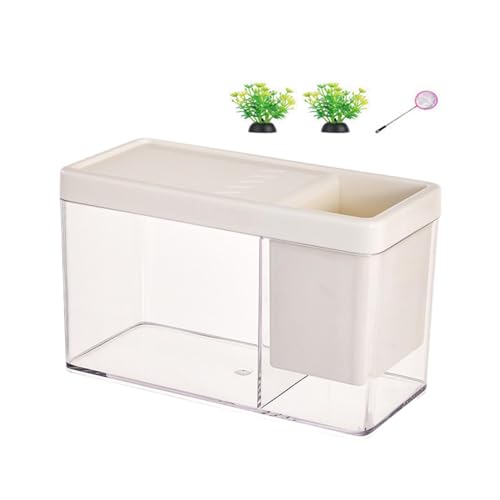 Baoblaze Fischglas-Kits, Fischtank, Fischtank-Box, Blumentopf, Behälter, Tank, Aquarium, Terrarium für Zuhause, Betta, Blumenarrangements, Cremeweiß von Baoblaze