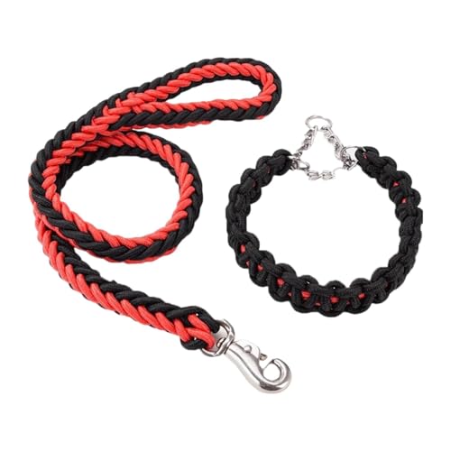 Baoblaze Geflochtene Hundeleine, Hundetrainingsleine, weich, verschleißfest, einfach zu verwenden, Hundeseil, Nylonseil zum Laufen, Spazierengehen, Wandern im, Rot Schwarz Baoblaze Geflochtene Hundeleine, Hundetrainingsleine, weich, verschleißfest, einfach zu verwenden, Hundeseil, Nylonseil zum Laufen, Spazierengehen, Wandern im, Rot Schwarz von Baoblaze