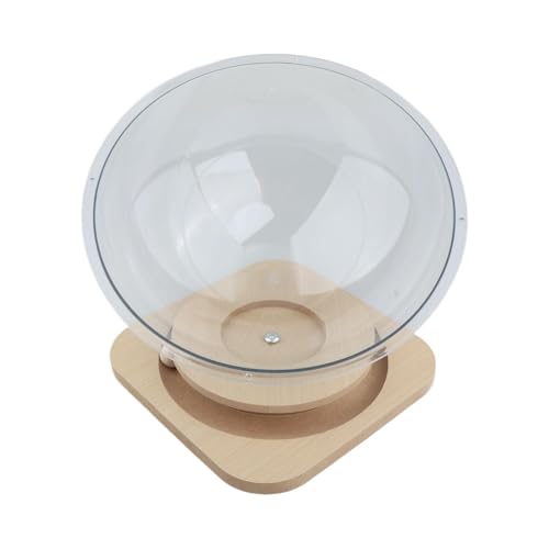 Baoblaze Gemütliches Schlafhaus für Kleine Tiere, Modernes Design, Spielzeug für Haustiere, S Baoblaze Gemütliches Schlafhaus für Kleine Tiere, Modernes Design, Spielzeug für Haustiere, S von Baoblaze