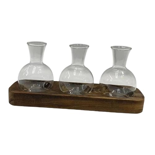 Baoblaze Glas-Terrarium-Pflanzgefäß, Hydrokultur-Vase, Pflanzenvermehrungsstationen, 3-teiliges Terrarium-Glas mit Holzständer für Zuhause, Wohnzimmer von Baoblaze