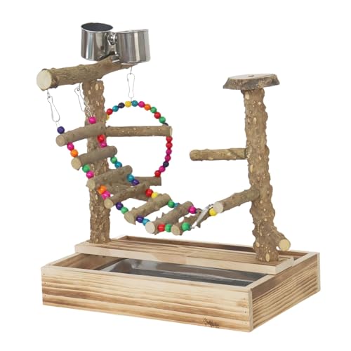 Baoblaze Hölzerner Vogelspielplatz, Sitzstange, Fitnessstudio, Übungsspielzeug, Kletterleiter, Holzspielständer, Übungsaktivitätszentrum für Turteltauben, Baoblaze Hölzerner Vogelspielplatz, Sitzstange, Fitnessstudio, Übungsspielzeug, Kletterleiter, Holzspielständer, Übungsaktivitätszentrum für Turteltauben, von Baoblaze