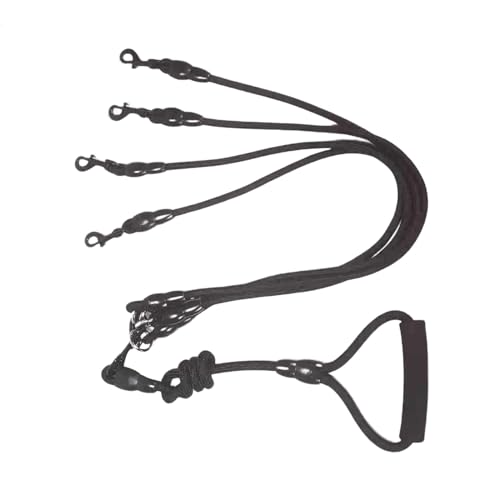 Baoblaze Hundeleine, Seil, einziehbare Hundeleine, zum Gehen und Laufen, verstellbare Hundeleine, Koppler, mehrere Hundeleinen für große und mittelgroße Hunde, EIN bis Vier L Baoblaze Hundeleine, Seil, einziehbare Hundeleine, zum Gehen und Laufen, verstellbare Hundeleine, Koppler, mehrere Hundeleinen für große und mittelgroße Hunde, EIN bis Vier L von Baoblaze