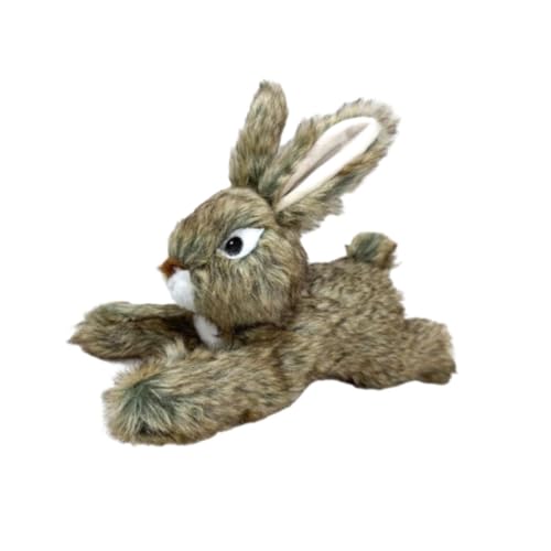 Baoblaze Hundespielzeug, quietschendes Plüschtier, Stofftier, Haustiertraining, Füllung, Kauspielzeug für Hunde, zum Spielen für Aggressive Kauer, kleine und, Brauner Hase Baoblaze Hundespielzeug, quietschendes Plüschtier, Stofftier, Haustiertraining, Füllung, Kauspielzeug für Hunde, zum Spielen für Aggressive Kauer, kleine und, Brauner Hase von Baoblaze