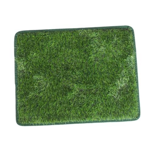 Baoblaze Künstliches Gras, zum Pinkeln für Hunde, Töpfchen-Trainingsmatte, professioneller, wiederverwendbarer Kunstrasen-Teppich für Hunde, Laufställe, Deck, 70cmx90cm Baoblaze Künstliches Gras, zum Pinkeln für Hunde, Töpfchen-Trainingsmatte, professioneller, wiederverwendbarer Kunstrasen-Teppich für Hunde, Laufställe, Deck, 70cmx90cm von Baoblaze