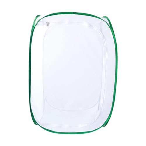 Baoblaze Mesh-Schmetterlingskäfig, Faltbarer Netzrahmen, für Kinder, wissenschaftliches pädagogisches Schmetterlingslebensraumzelt für den Garten, L von Baoblaze