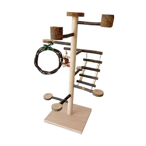 Baoblaze Papagei Stehen mit Schüssel Papagei Sitzstangen Training Spielzeug Vogel Sitzstange Stehen Ausübung Kakadus Desktop Halter Baoblaze Papagei Stehen mit Schüssel Papagei Sitzstangen Training Spielzeug Vogel Sitzstange Stehen Ausübung Kakadus Desktop Halter von Baoblaze