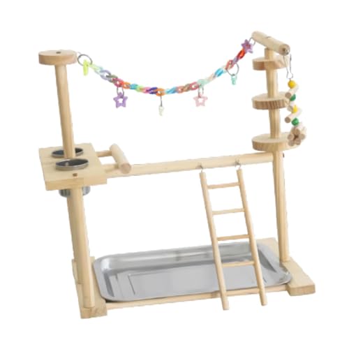 Baoblaze Papagei Vogel Spielplatz Holz Sitzstange Ständer Kletterleitern Sittich Vogel Spielständer Papagei Spielständer für Sittich Papagei Lovebird Baoblaze Papagei Vogel Spielplatz Holz Sitzstange Ständer Kletterleitern Sittich Vogel Spielständer Papagei Spielständer für Sittich Papagei Lovebird von Baoblaze